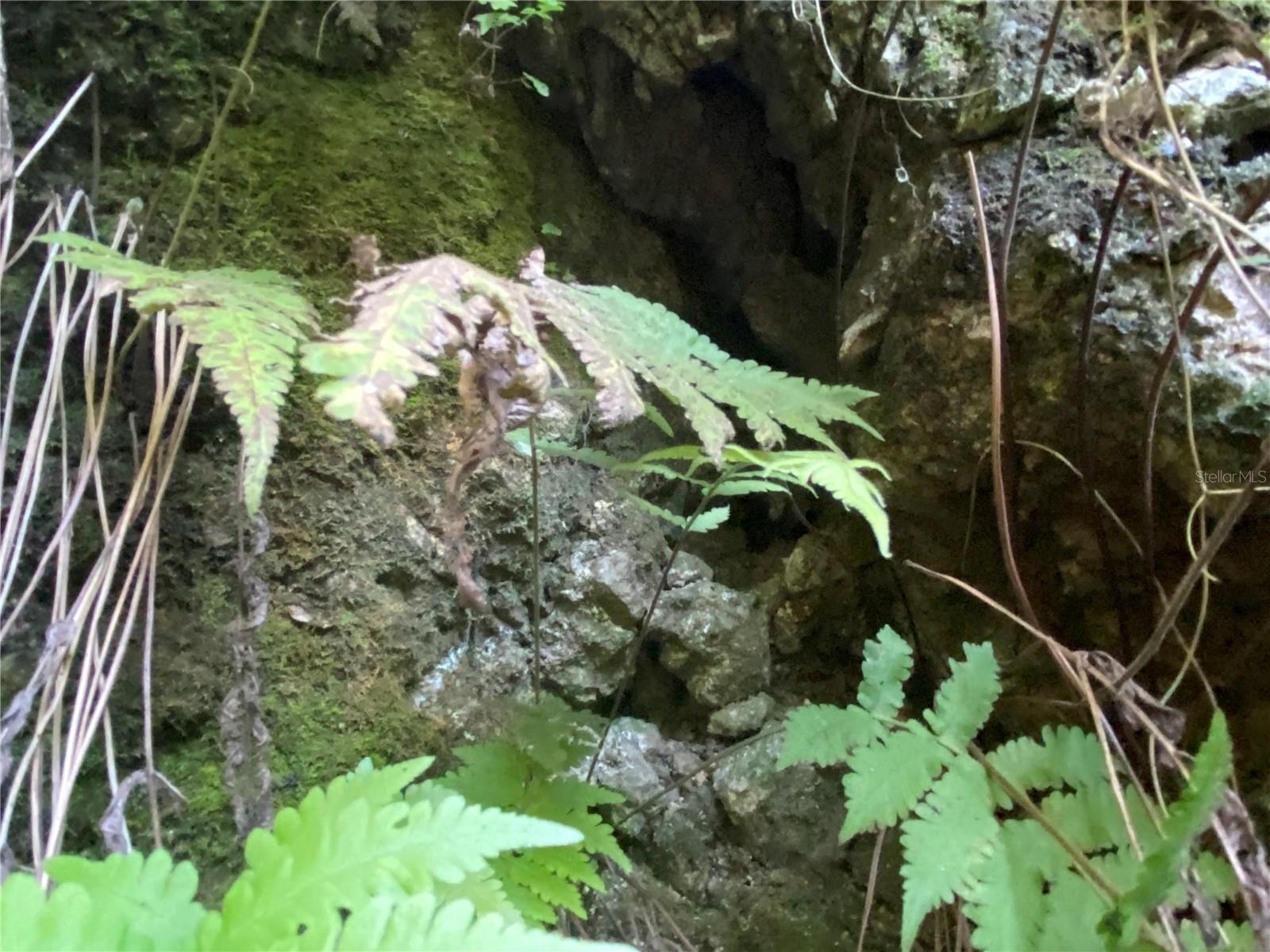 7373 E SAVANNAH CT, FLORAL CITY, FL, 34436