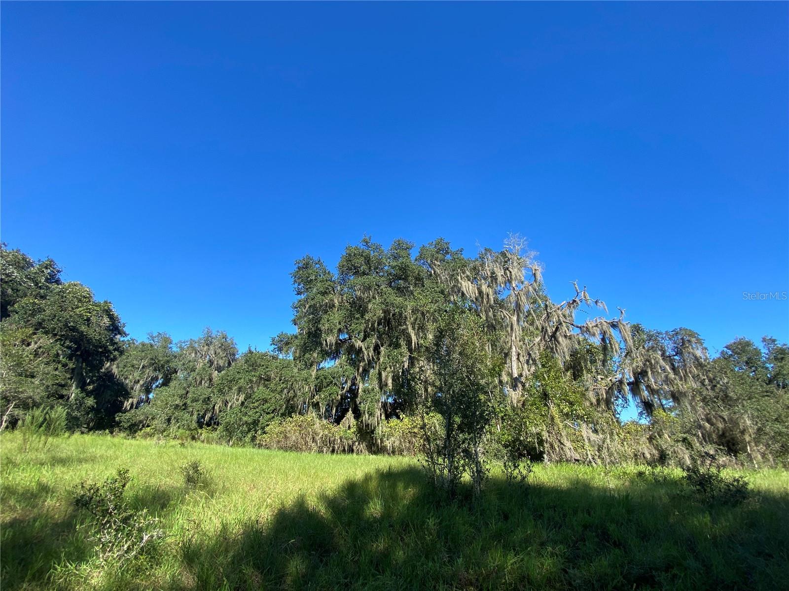 7373 E SAVANNAH CT, FLORAL CITY, FL, 34436