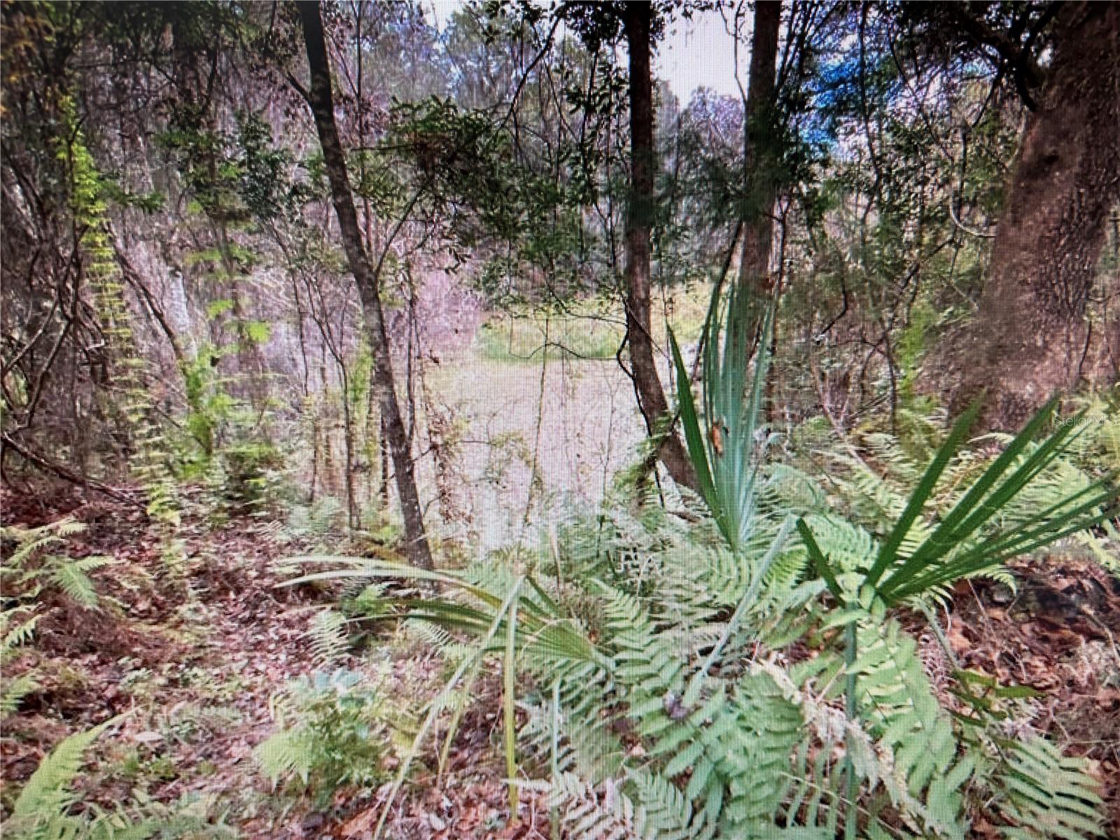 7373 E SAVANNAH CT, FLORAL CITY, FL, 34436