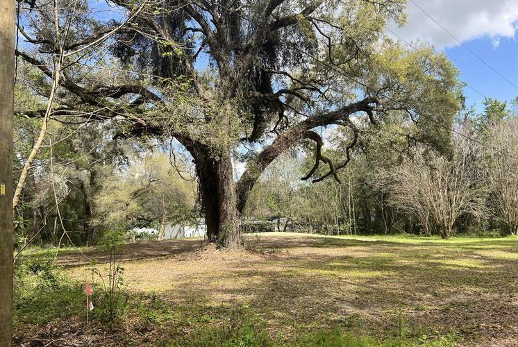 13545 SW 5TH LN, OCALA, FL, 34481