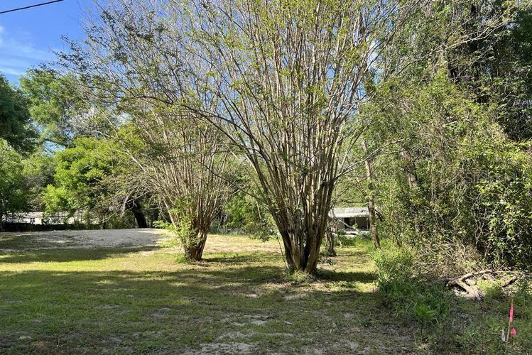 13545 SW 5TH LN, OCALA, FL, 34481