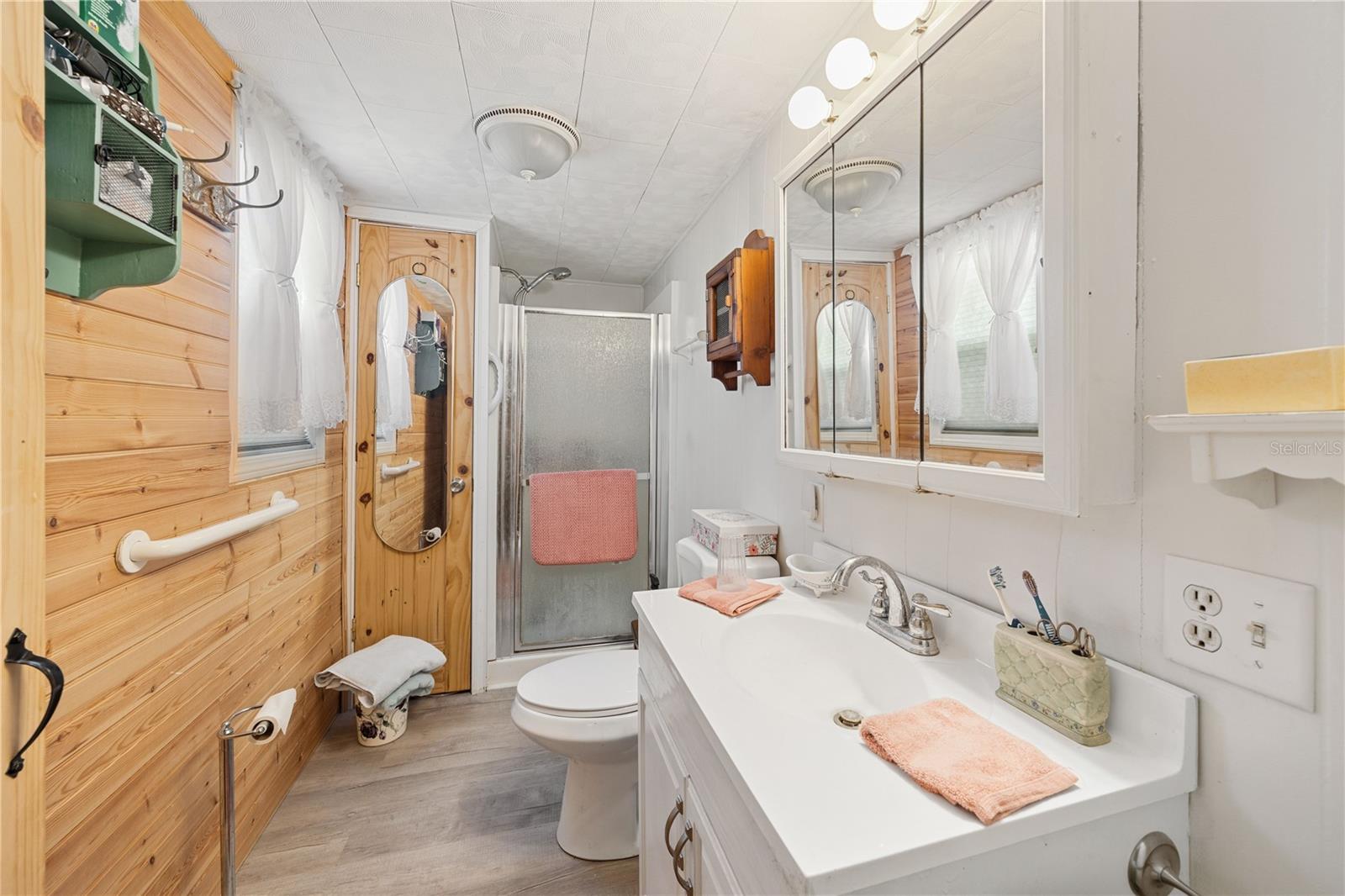 965 CR 461, LAKE PANASOFFKEE, FL, 33538