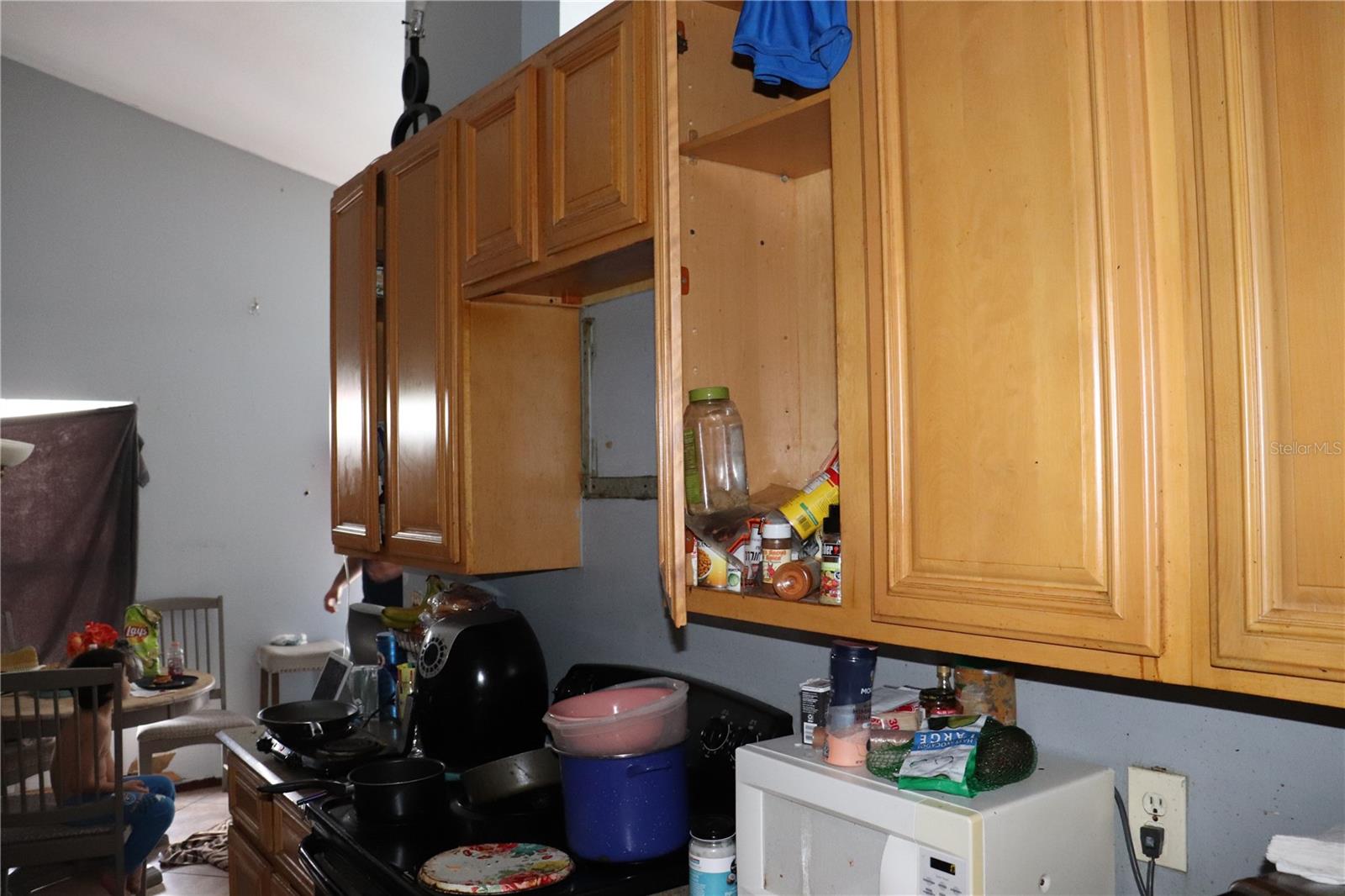 14057 ITHACA WAY, ORLANDO, FL, 32826