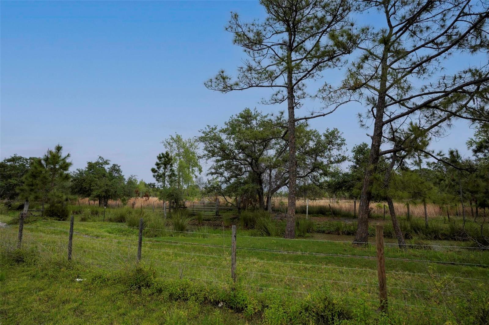 11320 MONTEVISTA RD, CLERMONT, FL, 34711