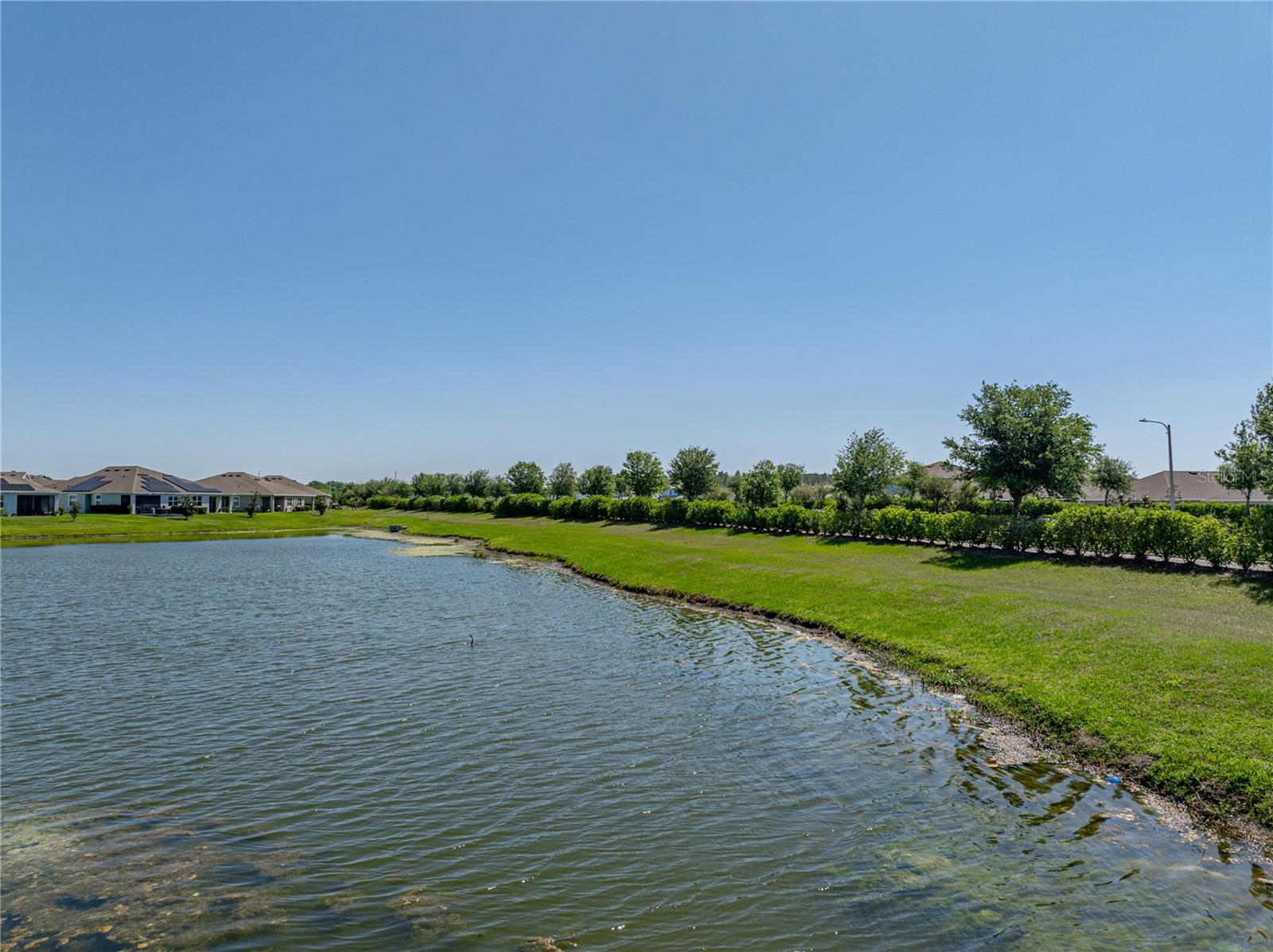 34135 WHITE FOUNTAIN CT, WESLEY CHAPEL, FL, 33545