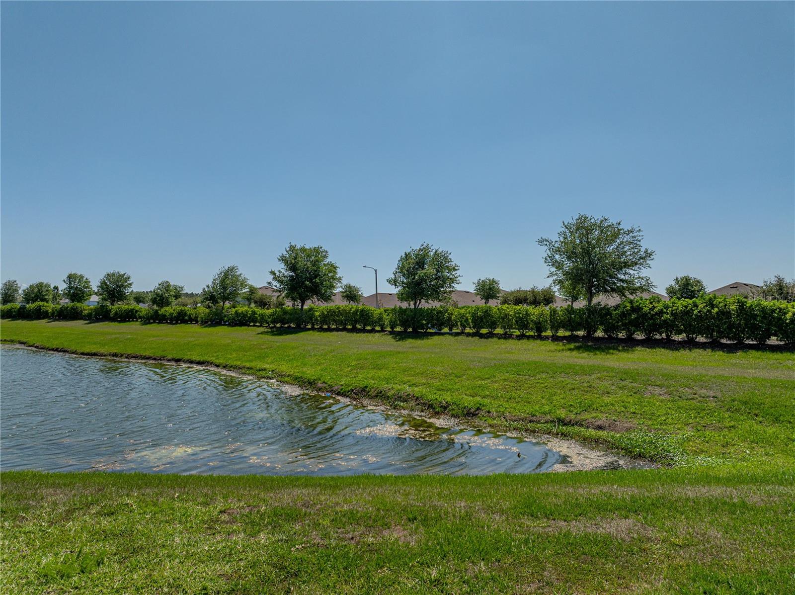 34135 WHITE FOUNTAIN CT, WESLEY CHAPEL, FL, 33545