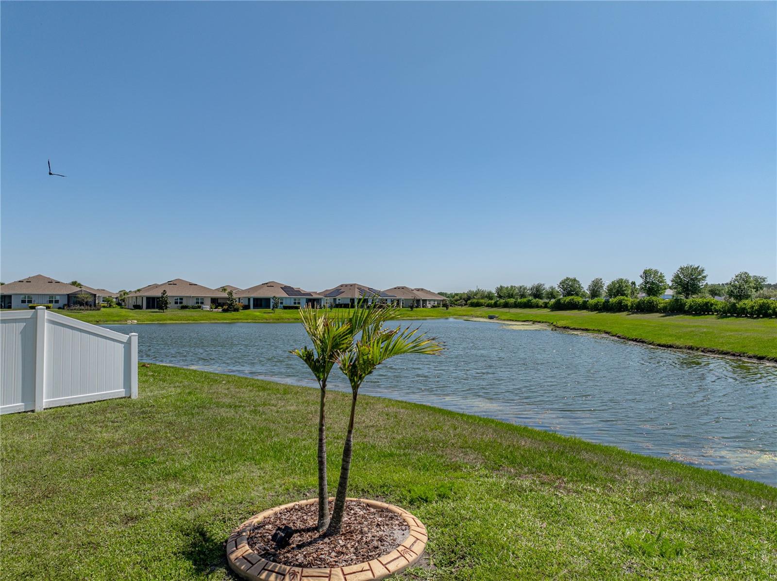 34135 WHITE FOUNTAIN CT, WESLEY CHAPEL, FL, 33545