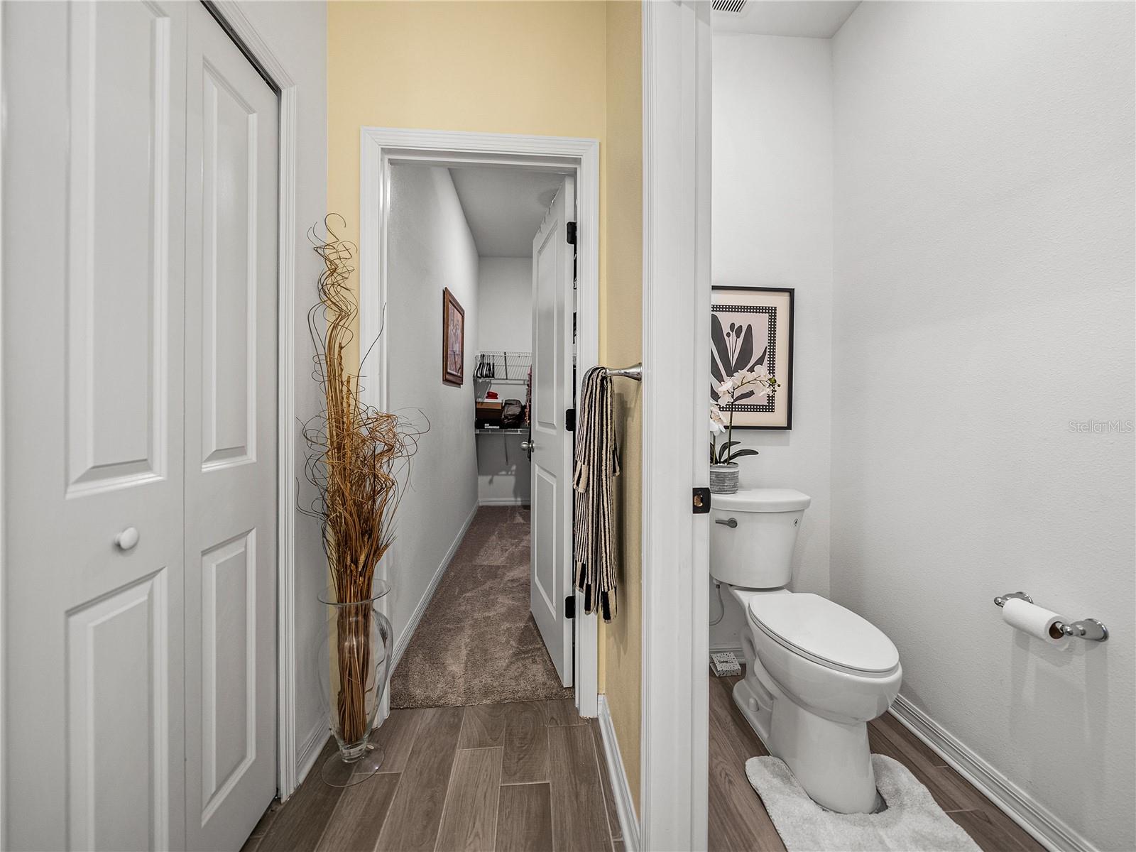 34135 WHITE FOUNTAIN CT, WESLEY CHAPEL, FL, 33545