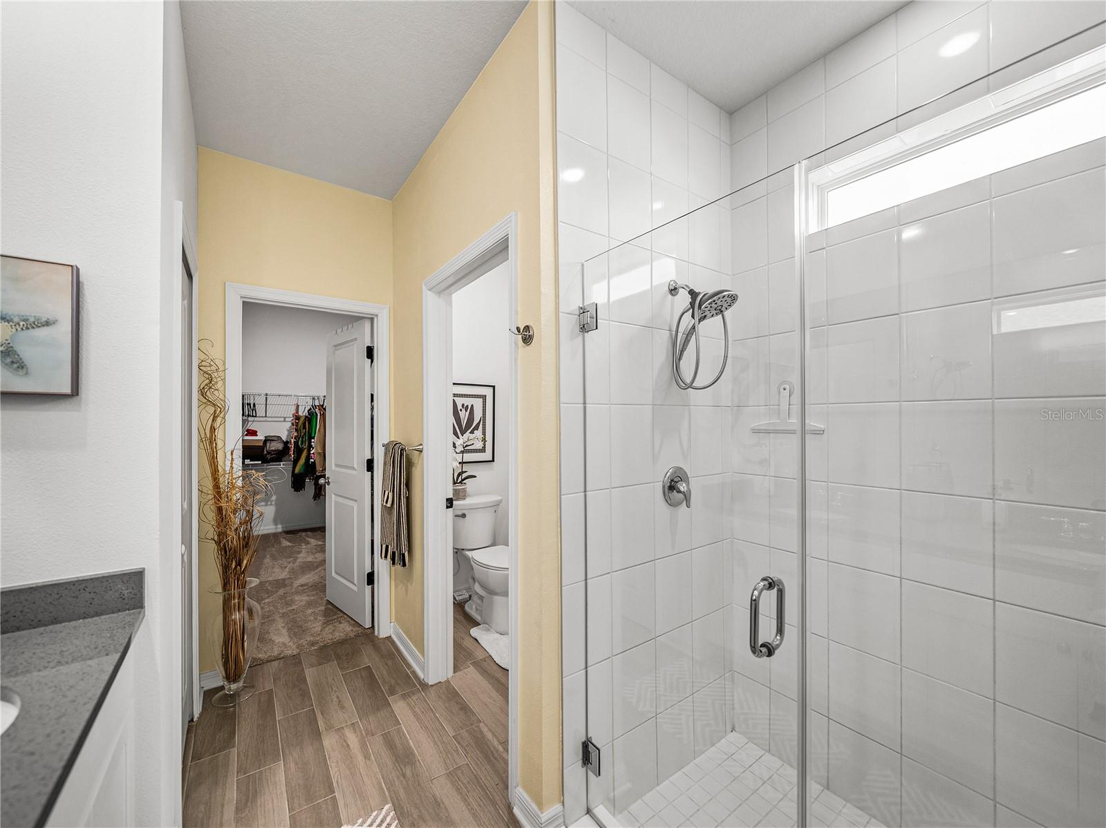 34135 WHITE FOUNTAIN CT, WESLEY CHAPEL, FL, 33545