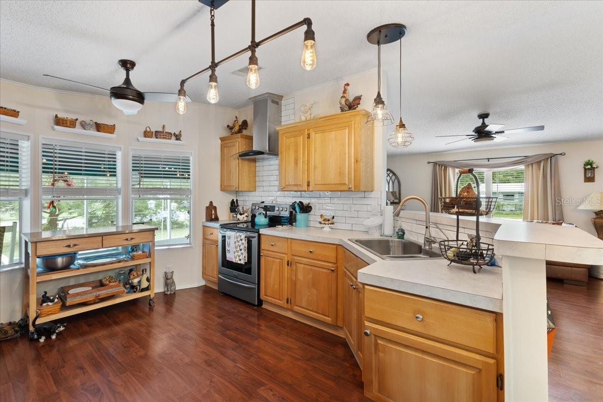 6051 NW 82ND LN, CHIEFLAND, FL, 32626