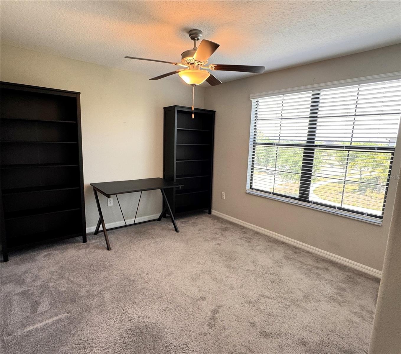 12717 LEMON PEPPER DR, RIVERVIEW, FL, 33578