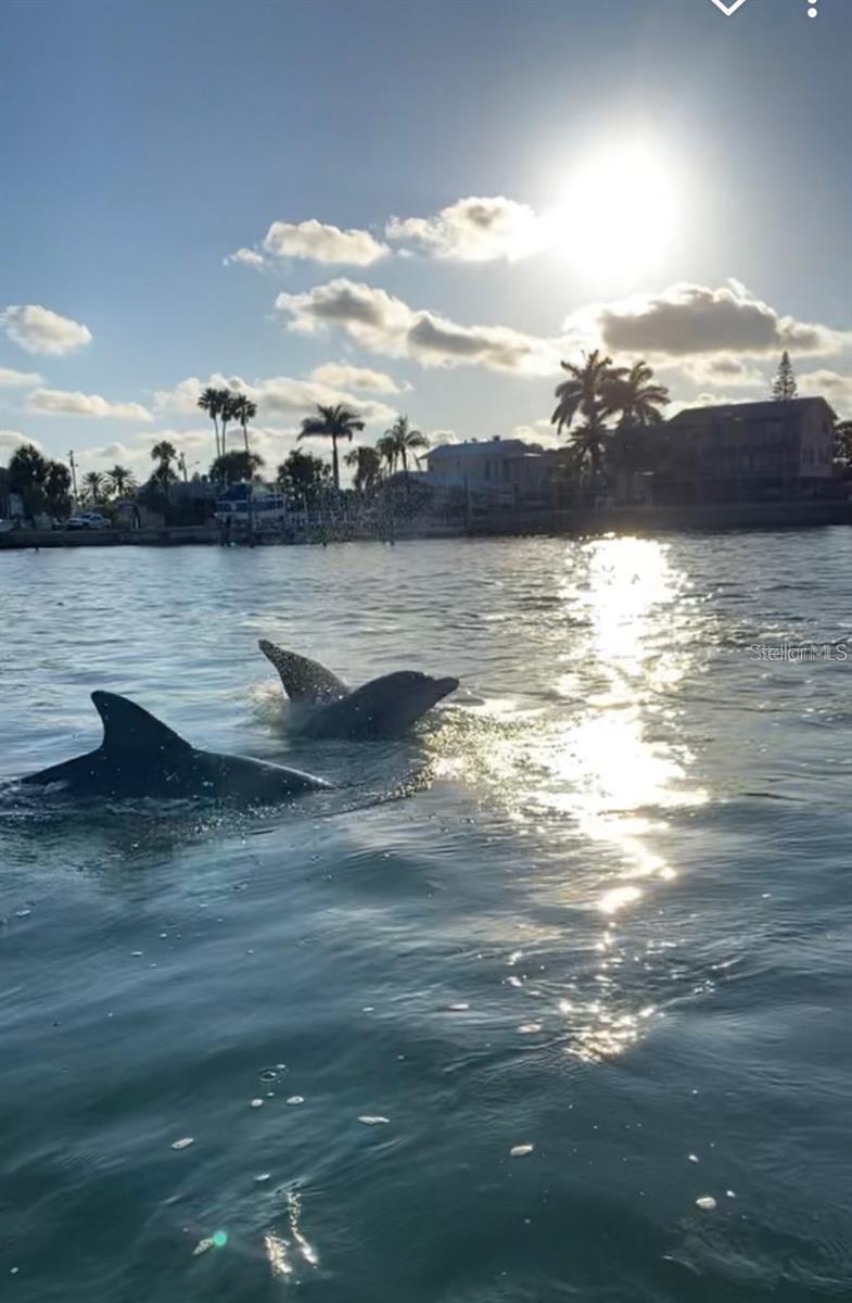 2387 HANOVER DR #2387, DUNEDIN, FL, 34698