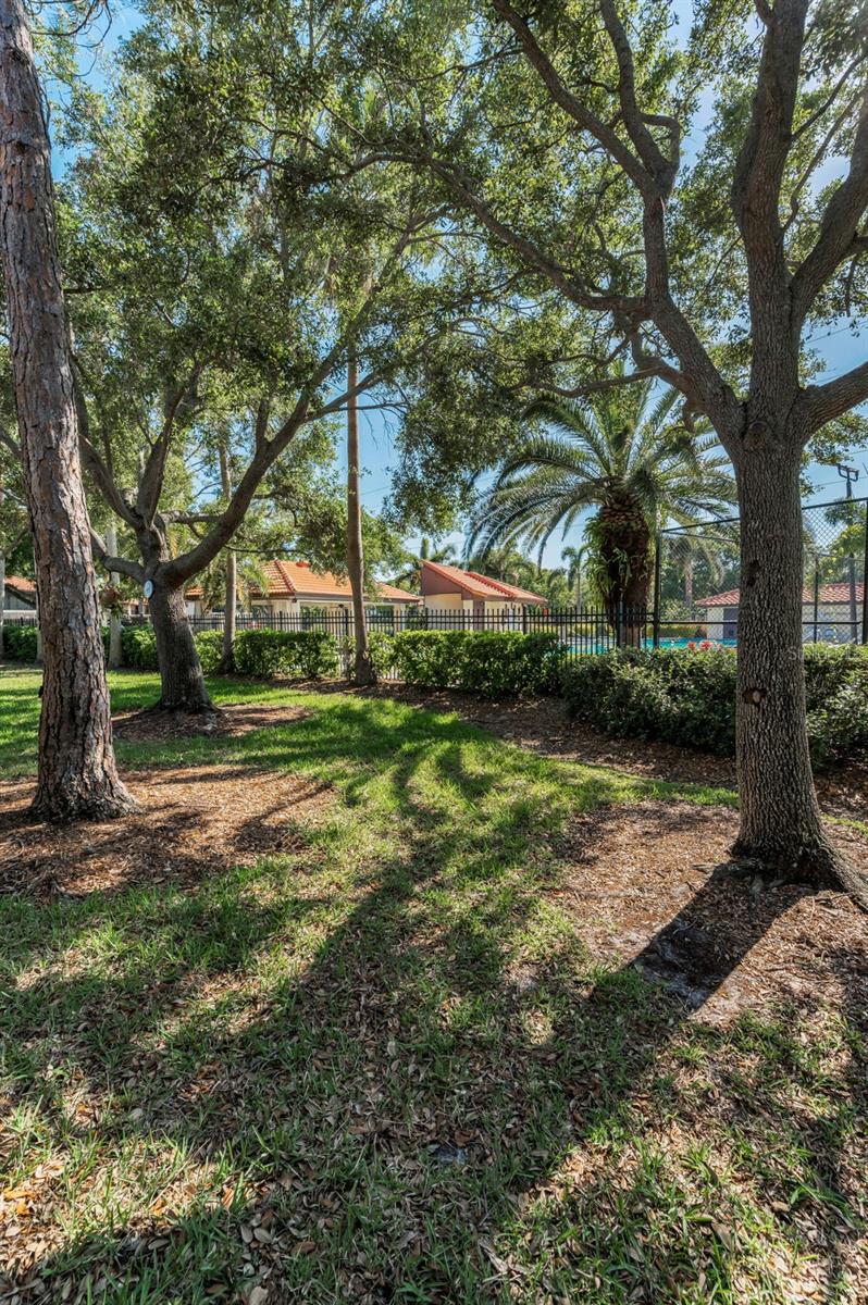 502 HAMMOCK PINE BLVD #502, CLEARWATER, FL, 33761