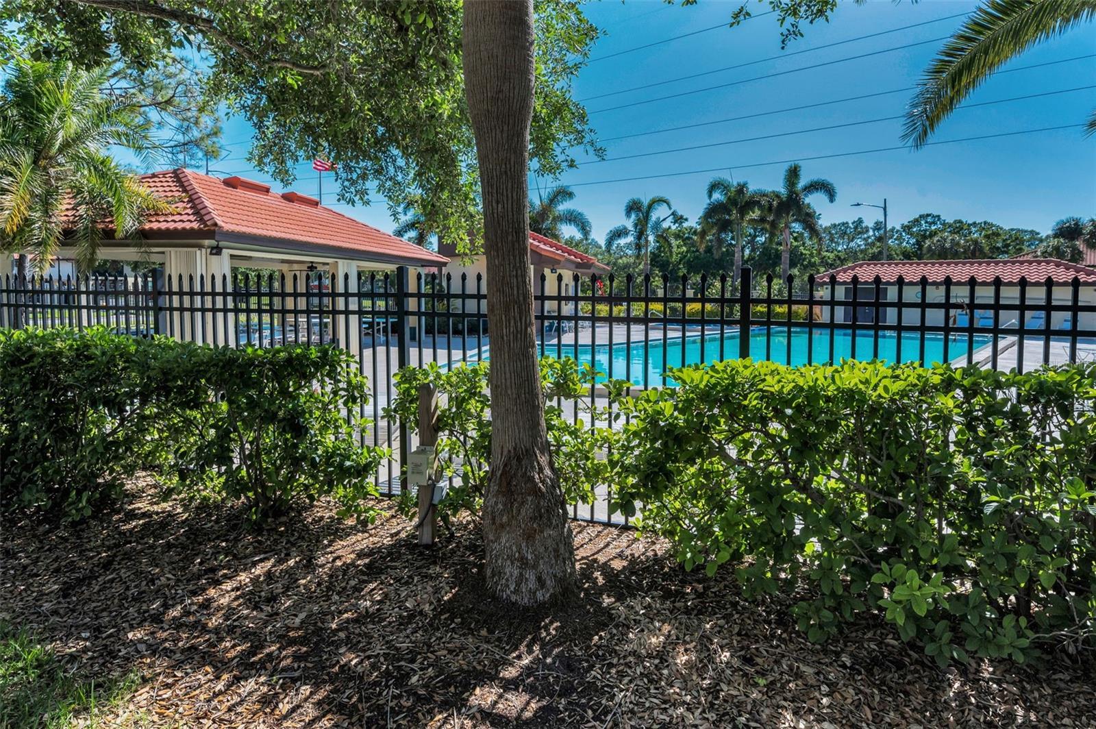 502 HAMMOCK PINE BLVD #502, CLEARWATER, FL, 33761