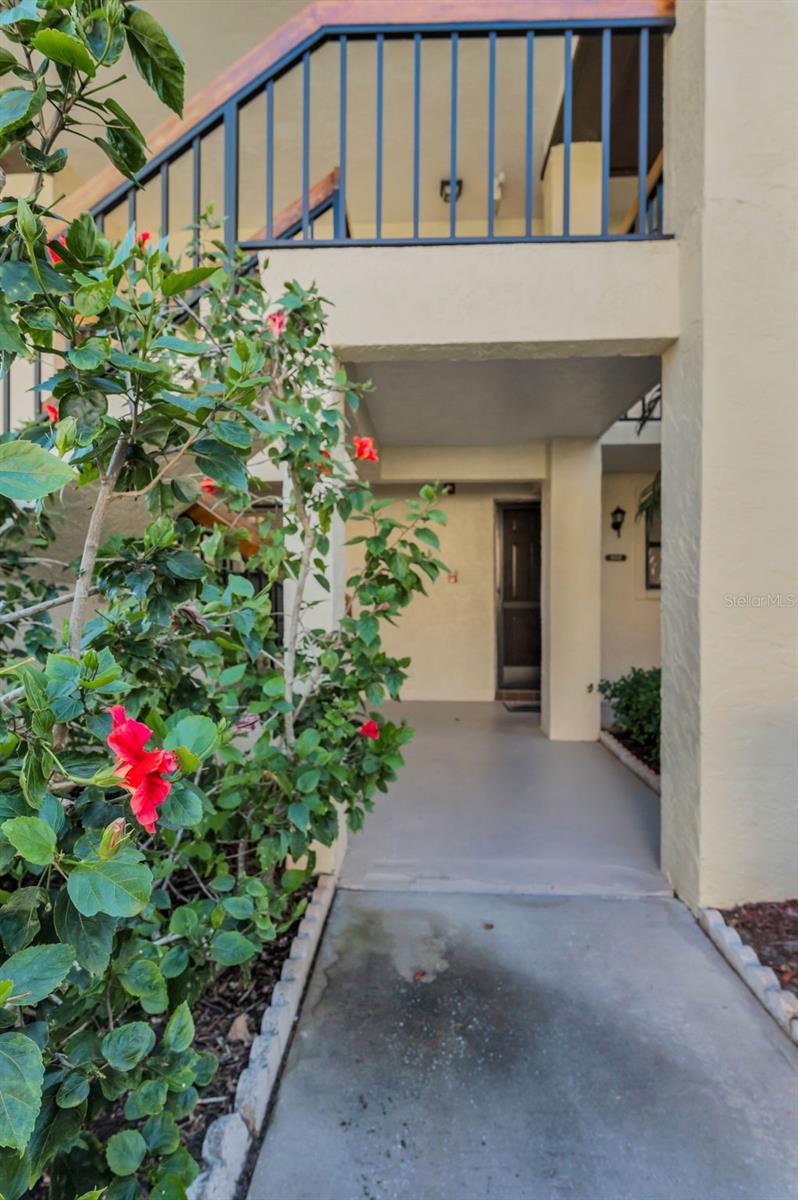 502 HAMMOCK PINE BLVD #502, CLEARWATER, FL, 33761