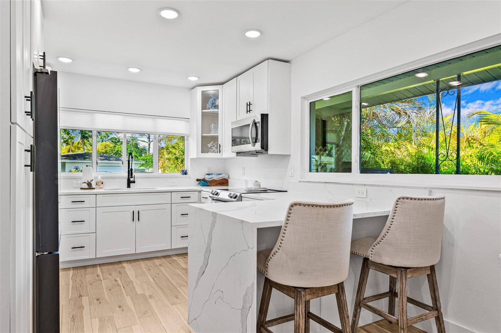 10396 BLOSSOM LAKE DR, SEMINOLE, FL, 33772