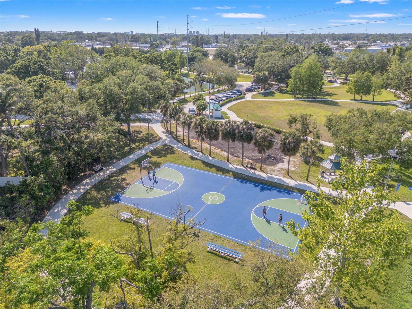 10396 BLOSSOM LAKE DR, SEMINOLE, FL, 33772