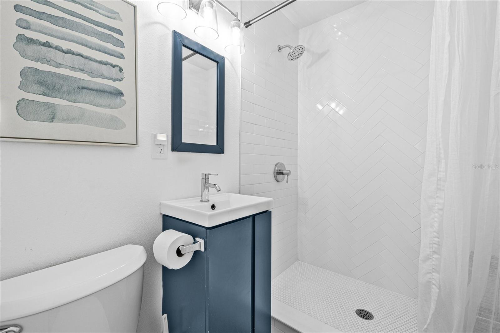 10396 BLOSSOM LAKE DR, SEMINOLE, FL, 33772