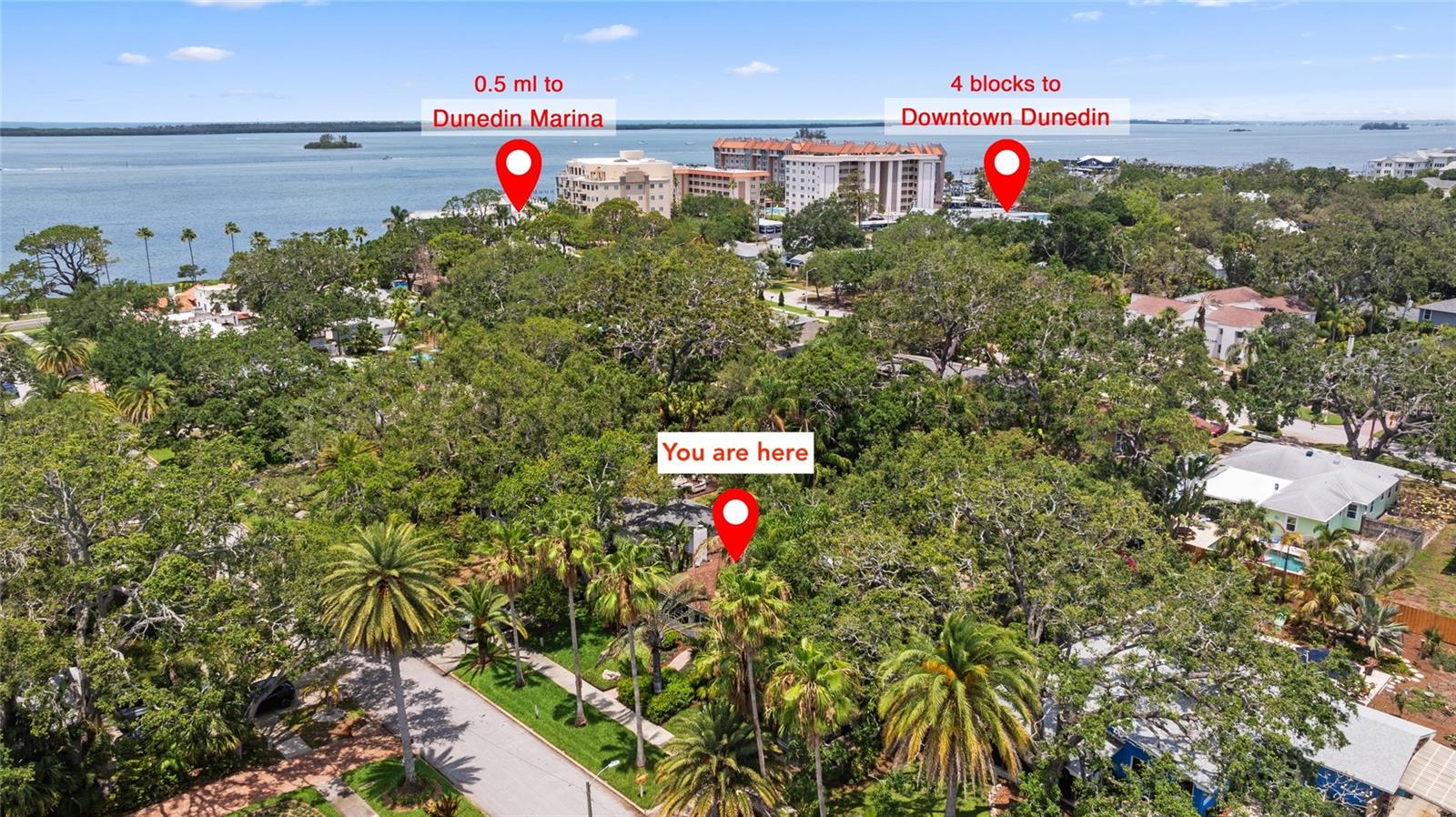 250 ABERDEEN ST, DUNEDIN, FL, 34698