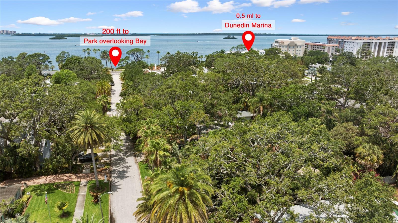 250 ABERDEEN ST, DUNEDIN, FL, 34698