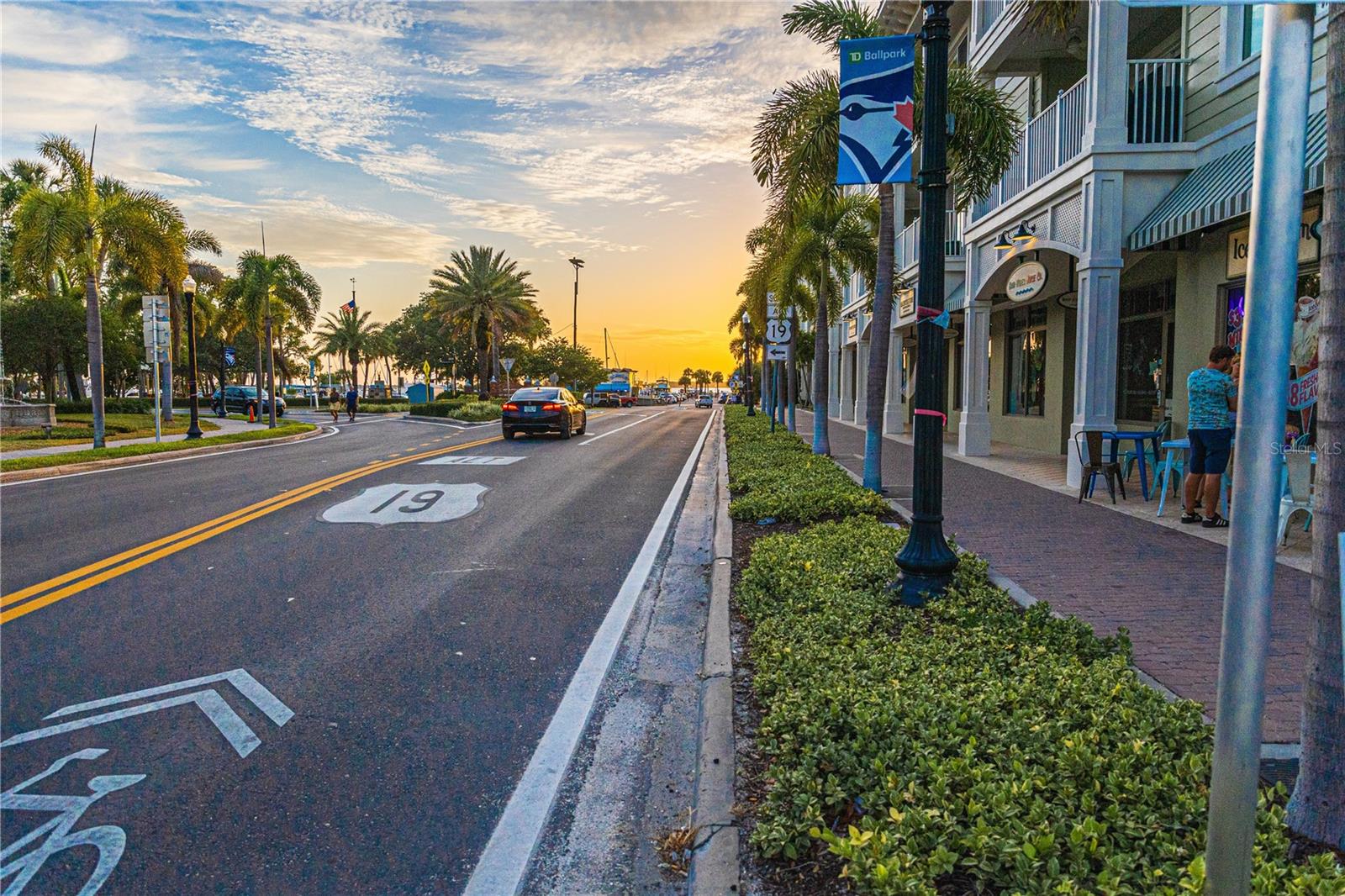 250 ABERDEEN ST, DUNEDIN, FL, 34698