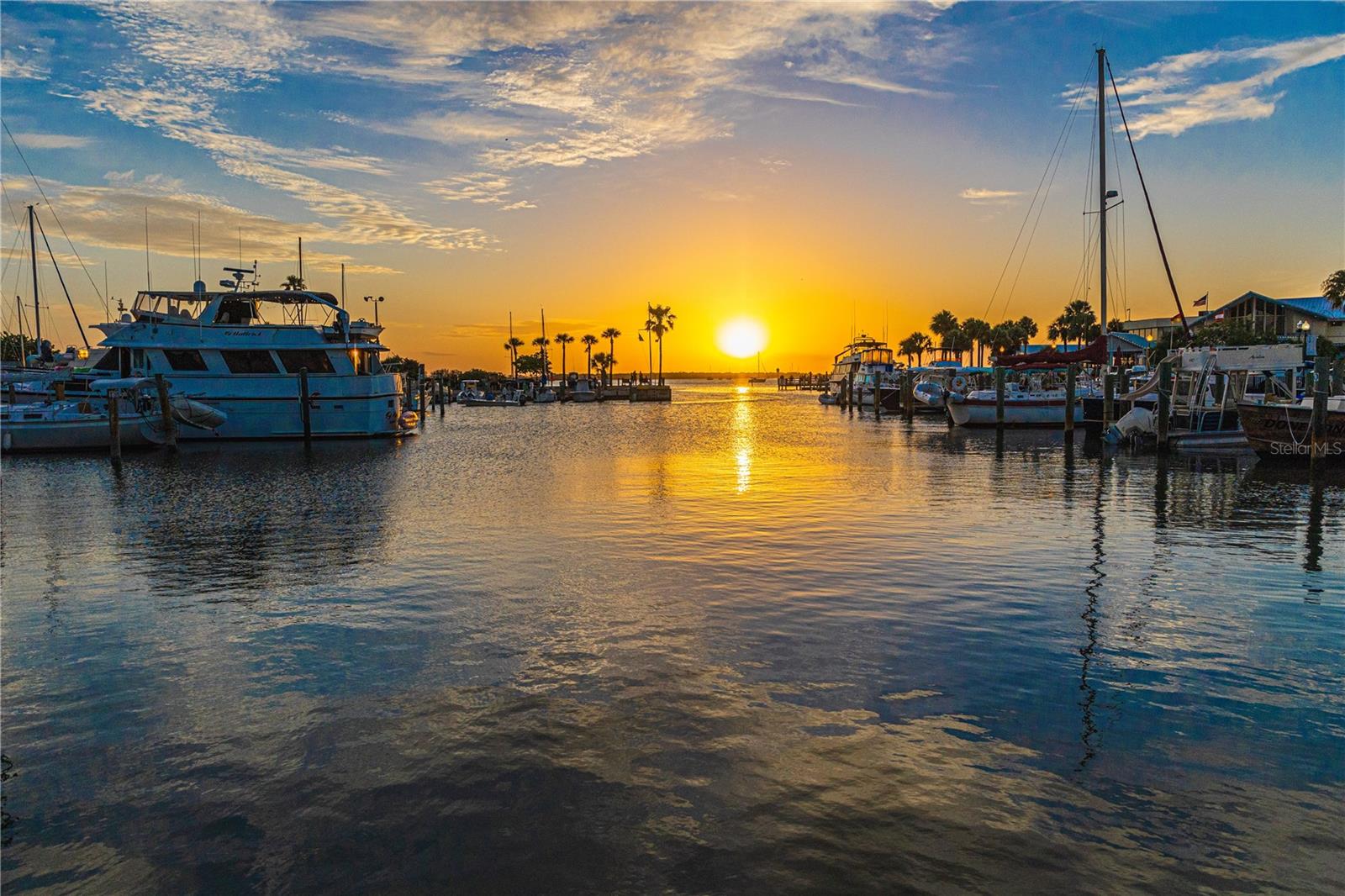 250 ABERDEEN ST, DUNEDIN, FL, 34698