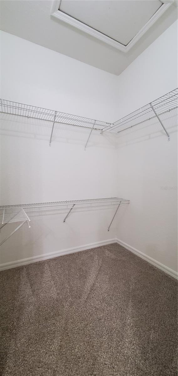 3584 KINGS RD #101, PALM HARBOR, FL, 34685