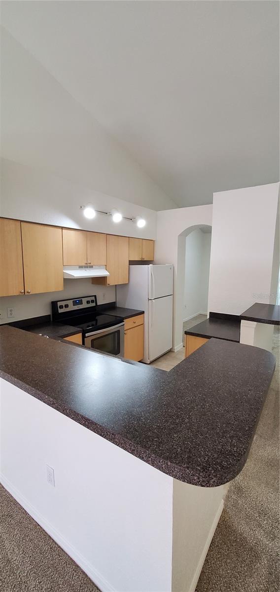 3584 KINGS RD #101, PALM HARBOR, FL, 34685