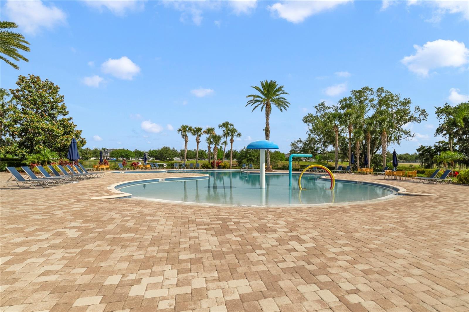 15107 WHITE WAGTAIL LN, WINTER GARDEN, FL, 34787