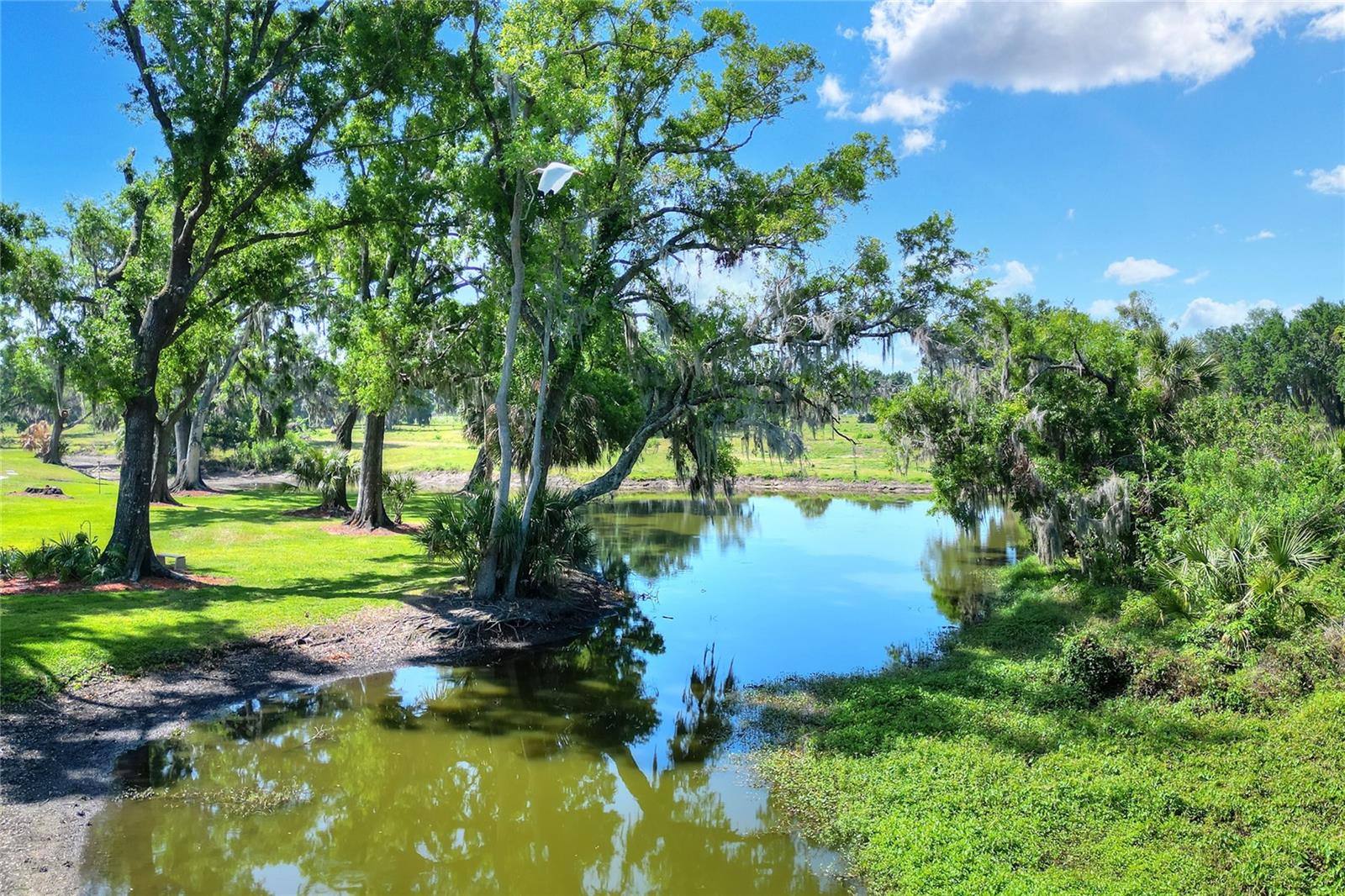 6052 TOPHER TRL, MULBERRY, FL, 33860