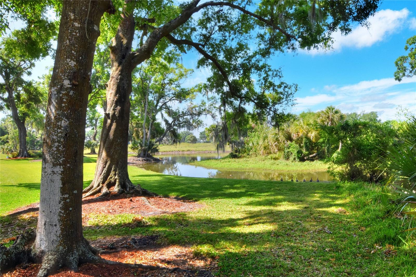 6052 TOPHER TRL, MULBERRY, FL, 33860