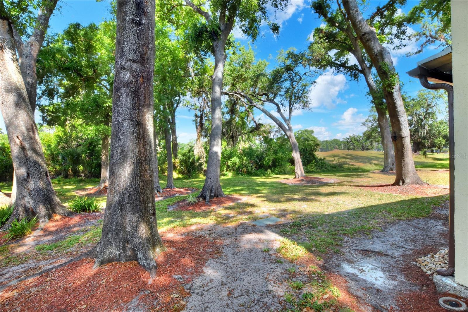 6052 TOPHER TRL, MULBERRY, FL, 33860