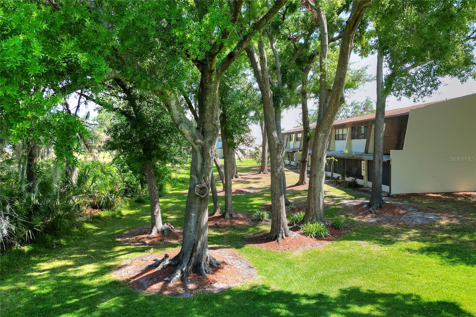 6052 TOPHER TRL, MULBERRY, FL, 33860