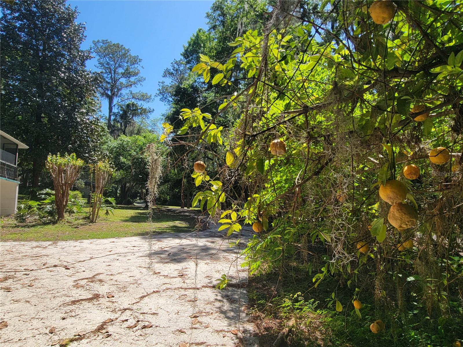 3200 SW 4TH CT, GAINESVILLE, FL, 32601