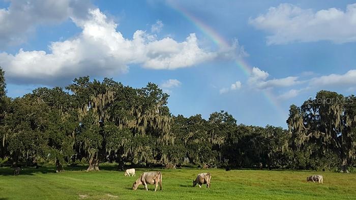 O6299268 Property Photo