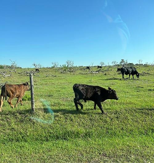 O6299268 Property Photo