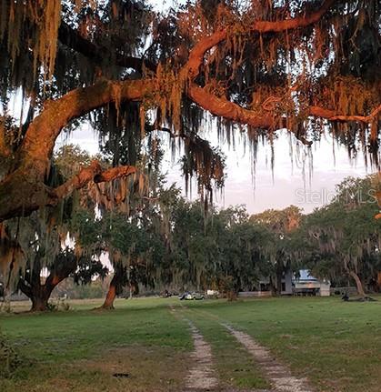 O6299268 Property Photo