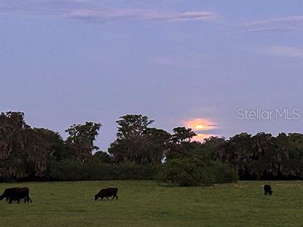 O6299268 Property Photo