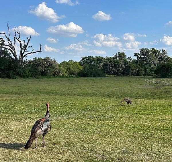 O6299268 Property Photo