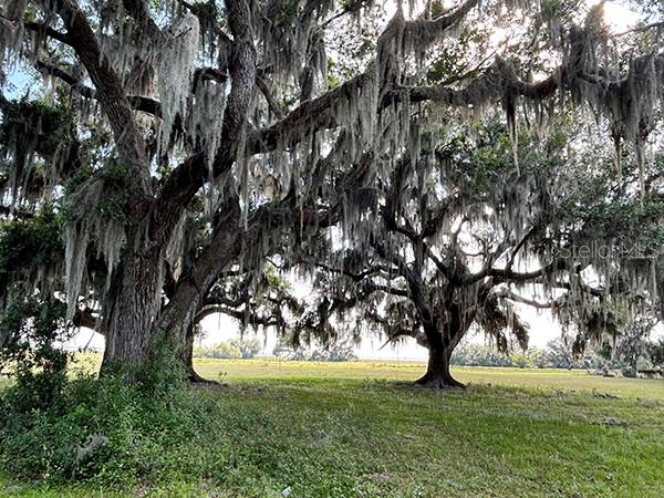 O6299268 Property Photo