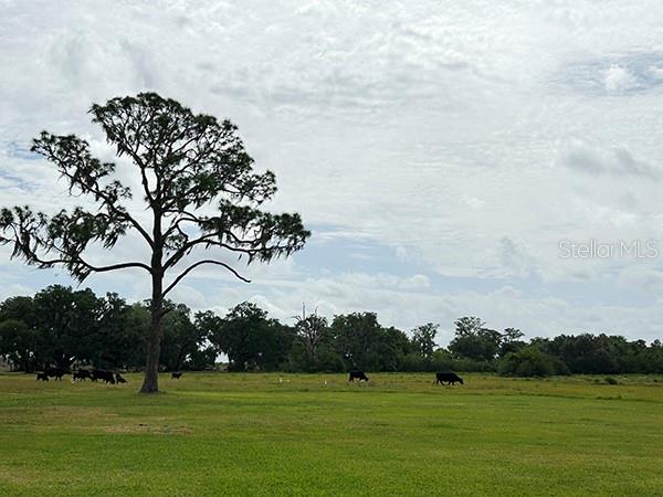 O6299268 Property Photo