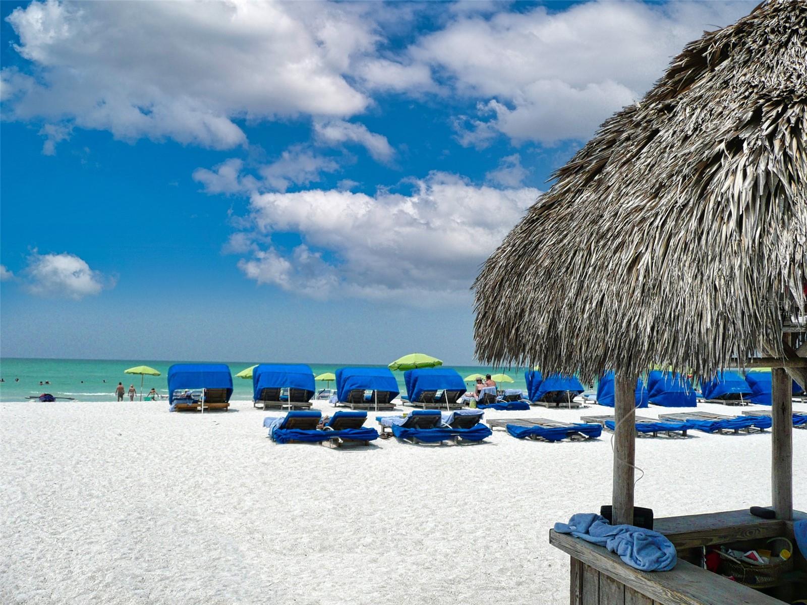 466 SUNNYSIDE DR, VENICE, FL, 34293