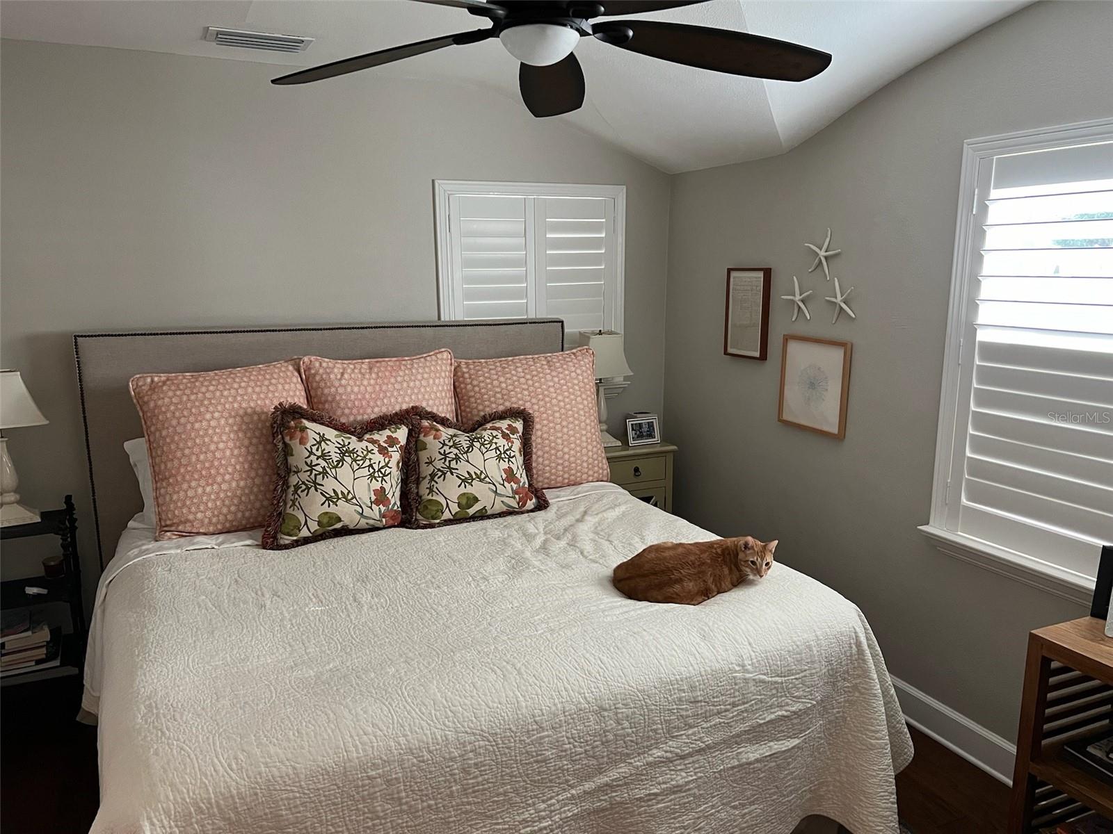 5001 W DICKENS AVE, TAMPA, FL, 33629