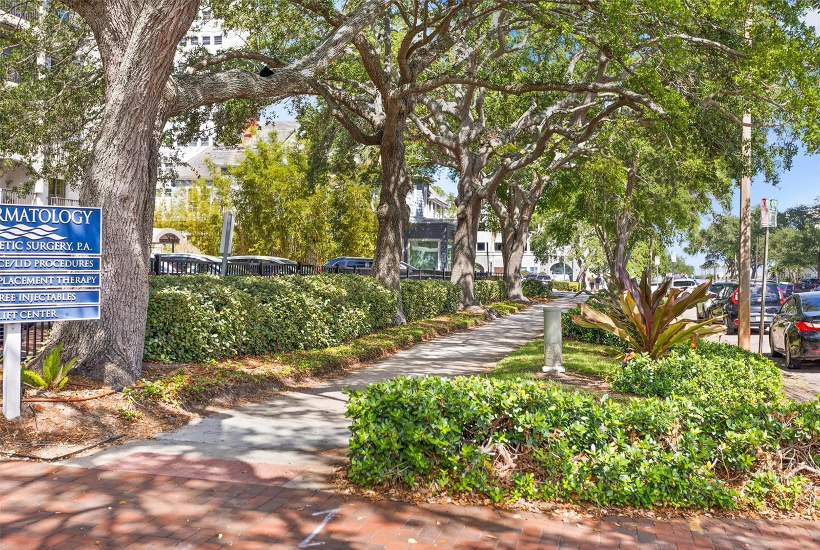 105 4TH AVE NE #219, ST PETERSBURG, FL, 33701