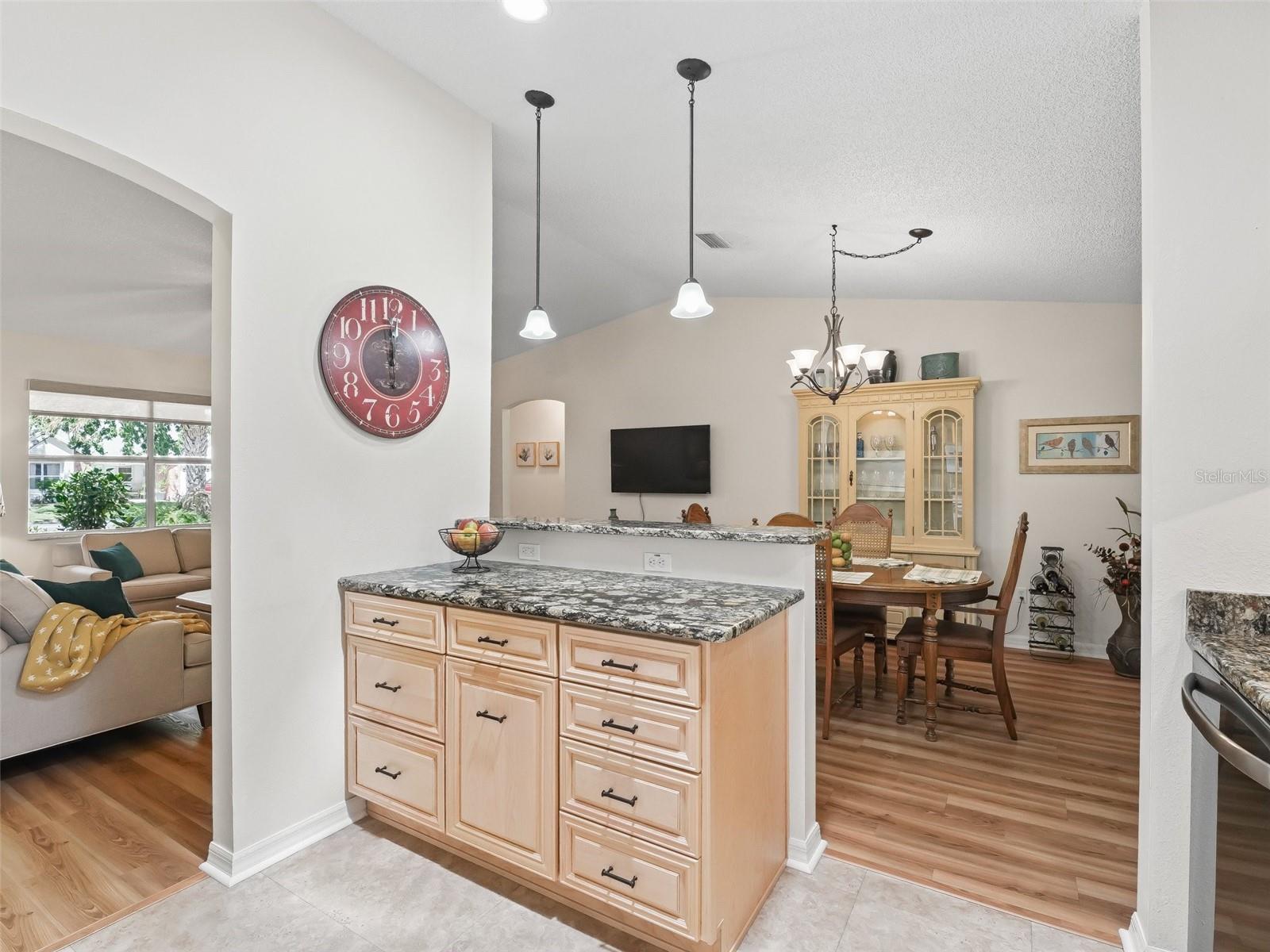 511 CHULA VISTA AVE, THE VILLAGES, FL, 32159