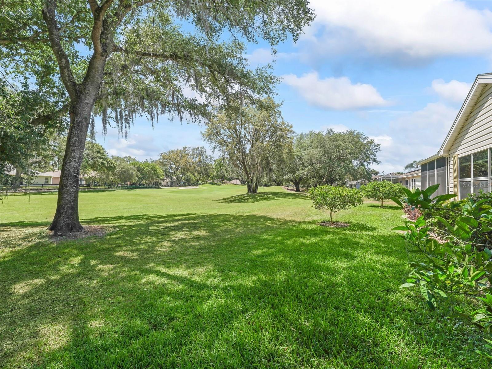 511 CHULA VISTA AVE, THE VILLAGES, FL, 32159