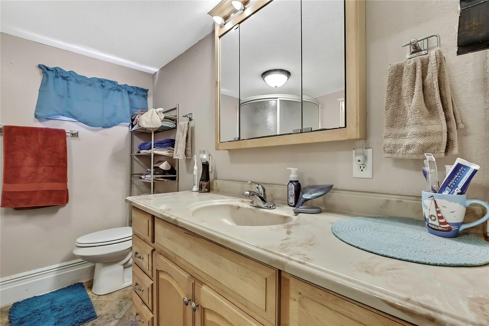 10038 E BLUEGILL CT, INVERNESS, FL, 34450