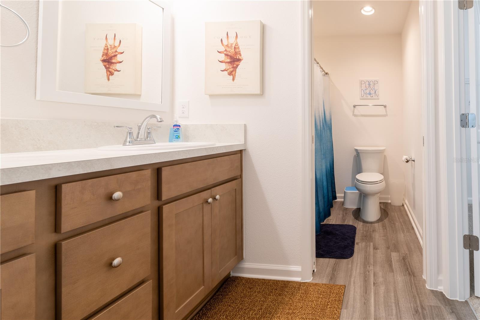 6471 ECOFF PL, THE VILLAGES, FL, 34762