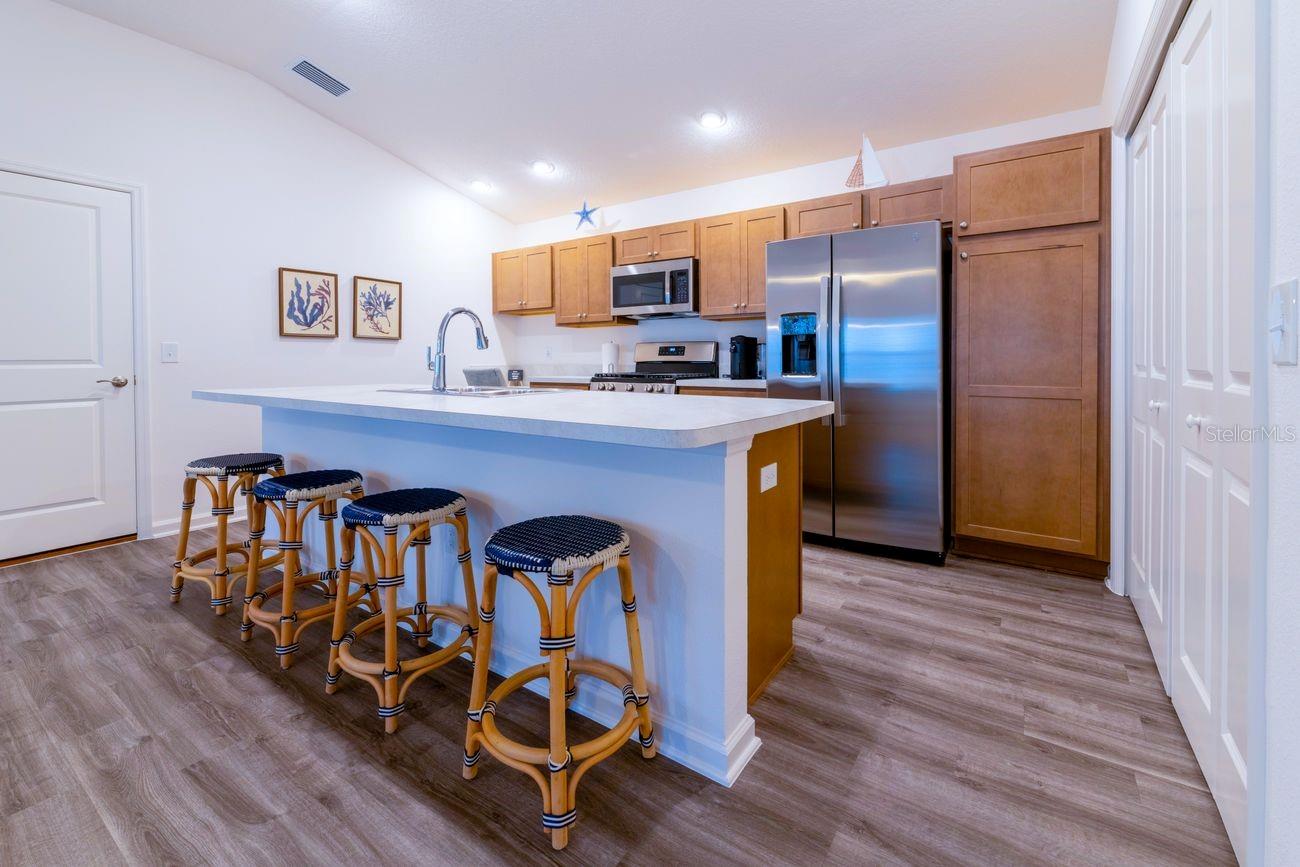 6471 ECOFF PL, THE VILLAGES, FL, 34762