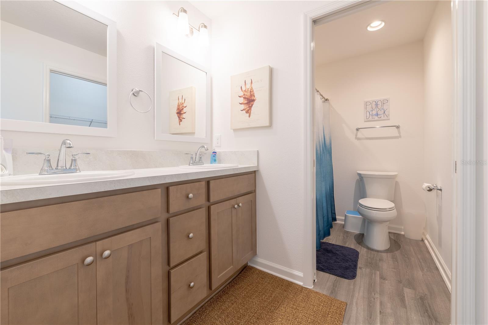 6471 ECOFF PL, THE VILLAGES, FL, 34762